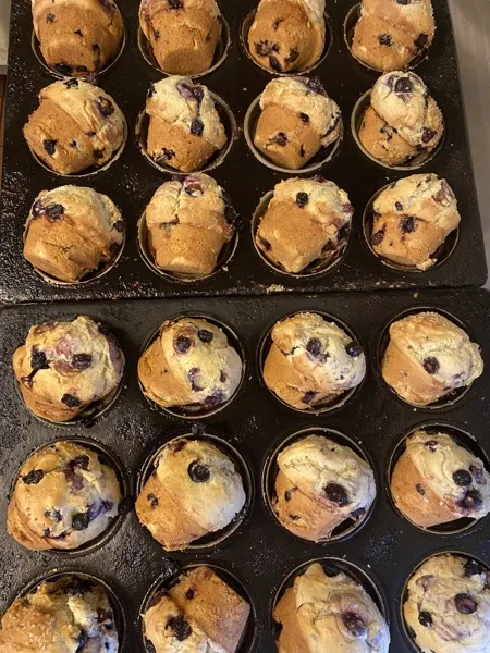 Fresh baked blueberry muffins